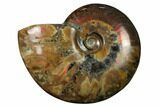 Flashy Red Iridescent Ammonite #155161-1